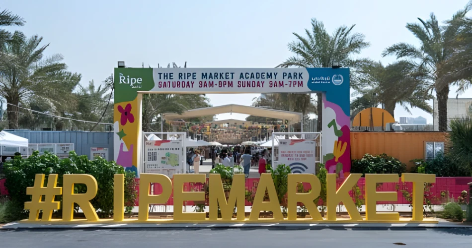 Life Behind the Mall: Al Barsha’s Quiet Side