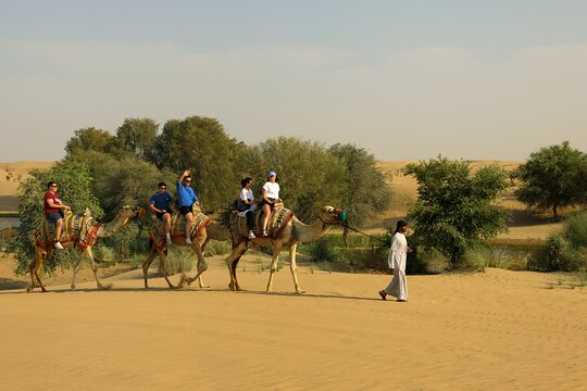 Tour image 6